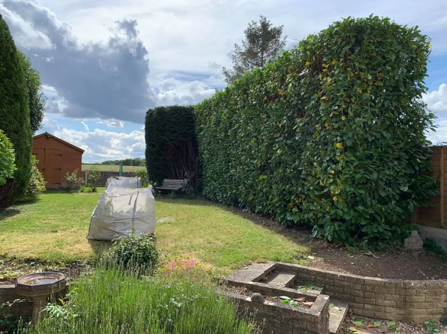 A garden with a hedge