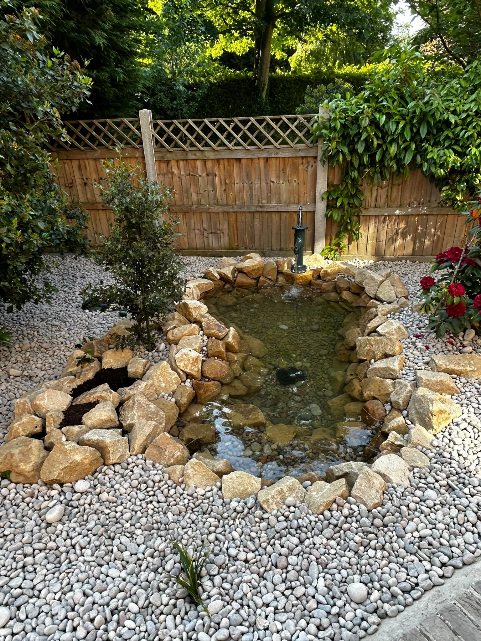 Pond in the garden